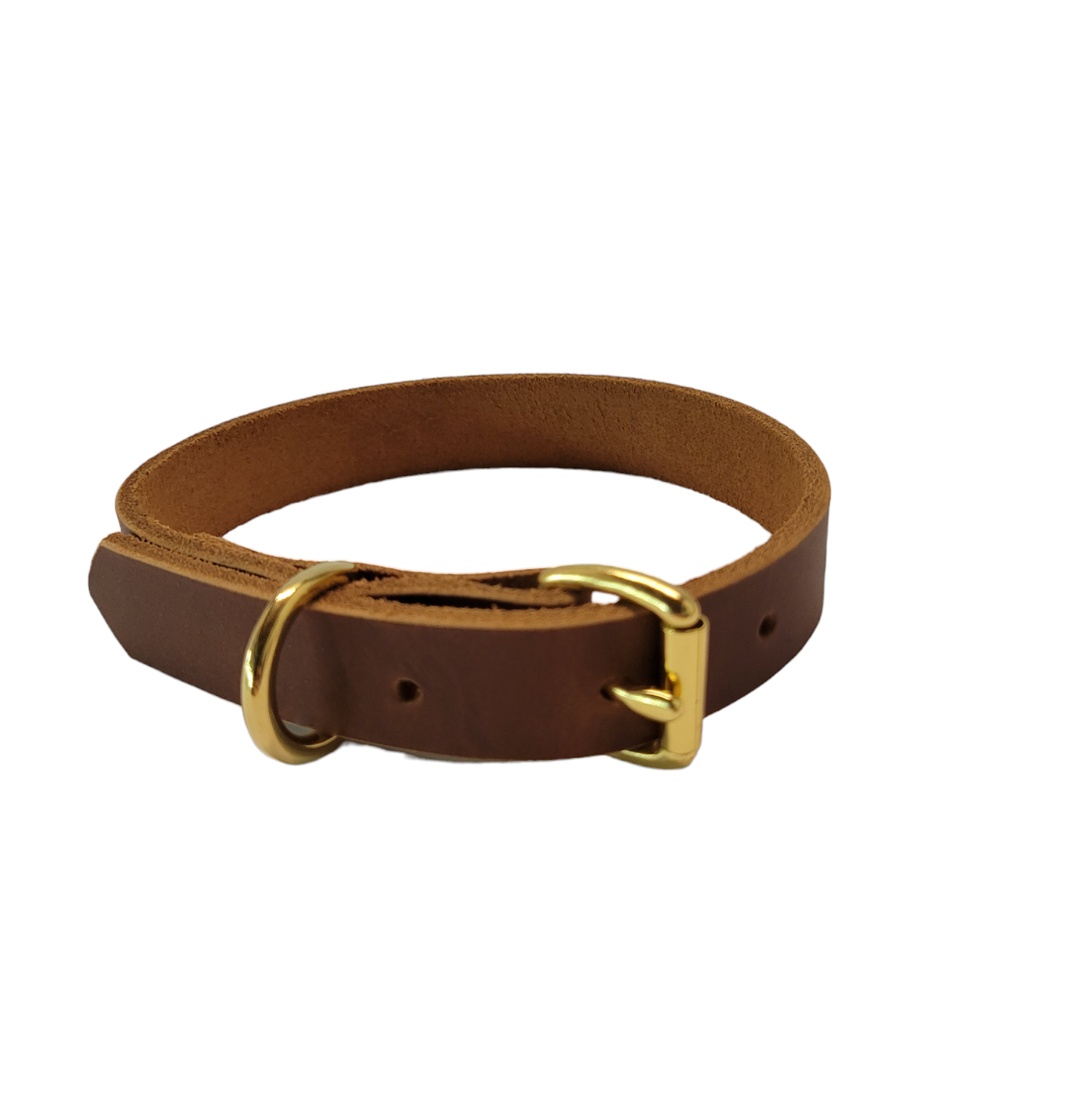 Collier pour chien